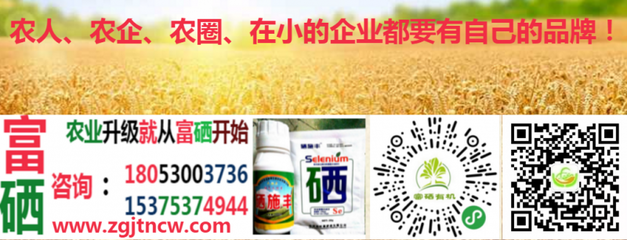 農業農村部實施新規，全國食用農產品全面推行合格證制度