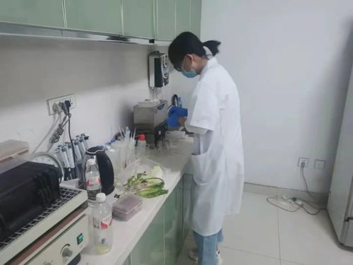 四大農貿市場抽檢結果公布，36批次食用農產品安全有保障